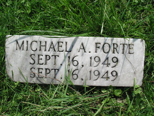 Michael A. Forte